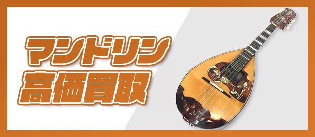 マンドリン高価買取